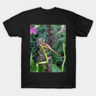 Dragonfly T-Shirt